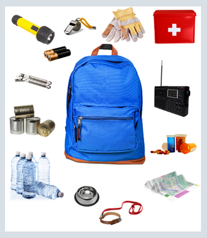 Disaster kit items: Backpack, flashlight, gloves, canned goods, battery-powered radio, first aid kit, water, medications, map